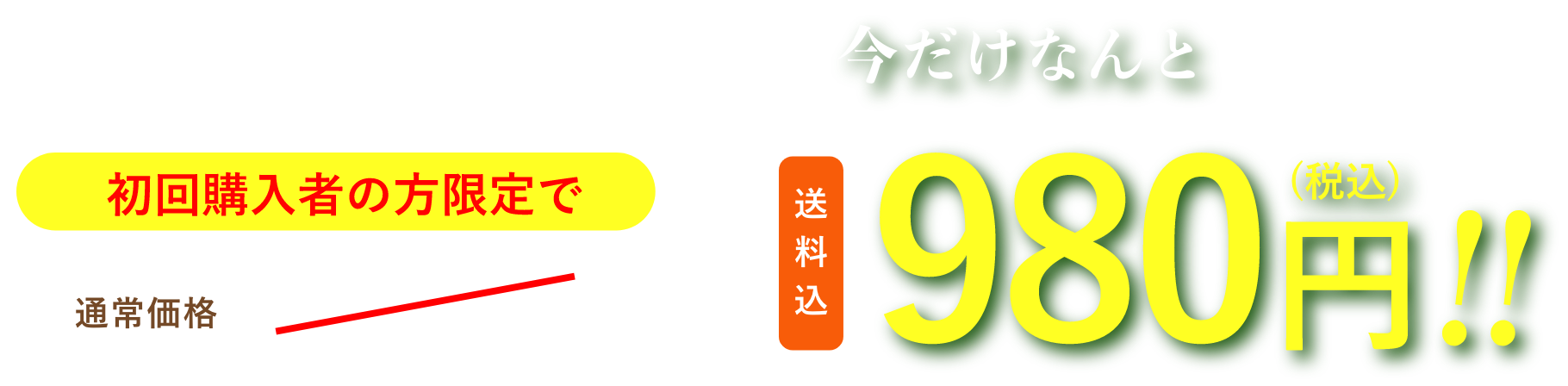 初回購入者の方限定で、通常価格1,580円（税込）のところ、今だけなんと980円（税込・送料込）!!